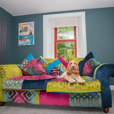 Tig Cottage - A Rural, Quirky, Pet Friendly 2 Bedroom Cottage Near Ballantrae Dış mekan fotoğraf