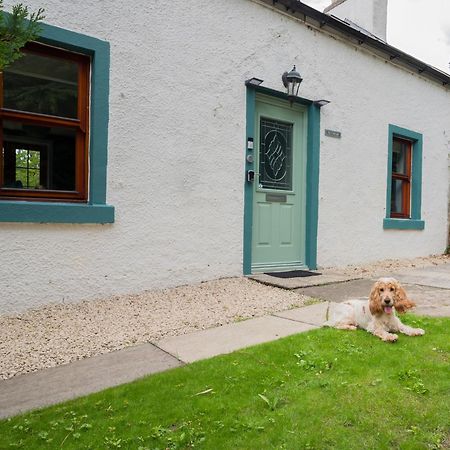 Tig Cottage - A Rural, Quirky, Pet Friendly 2 Bedroom Cottage Near Ballantrae Dış mekan fotoğraf