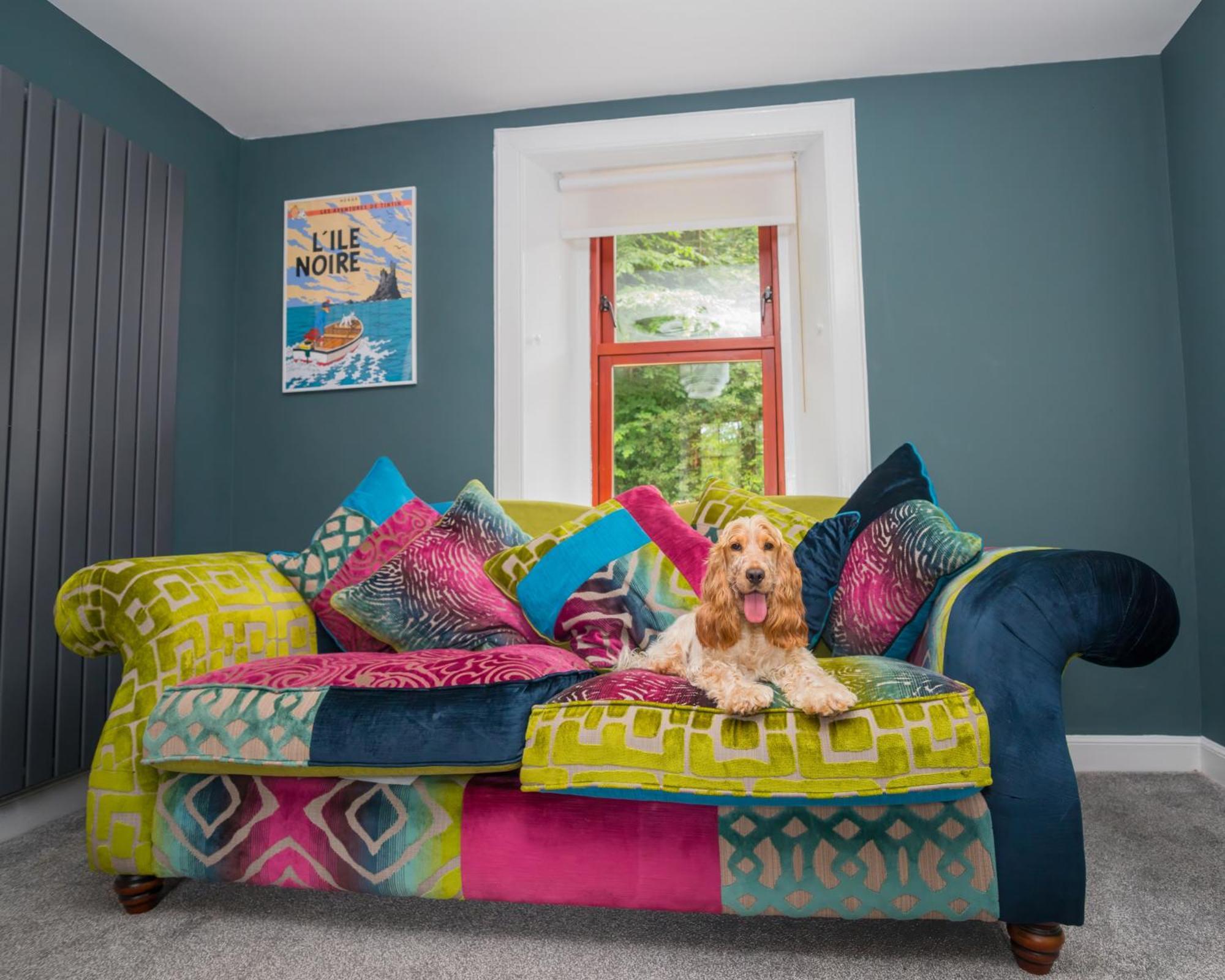 Tig Cottage - A Rural, Quirky, Pet Friendly 2 Bedroom Cottage Near Ballantrae Dış mekan fotoğraf