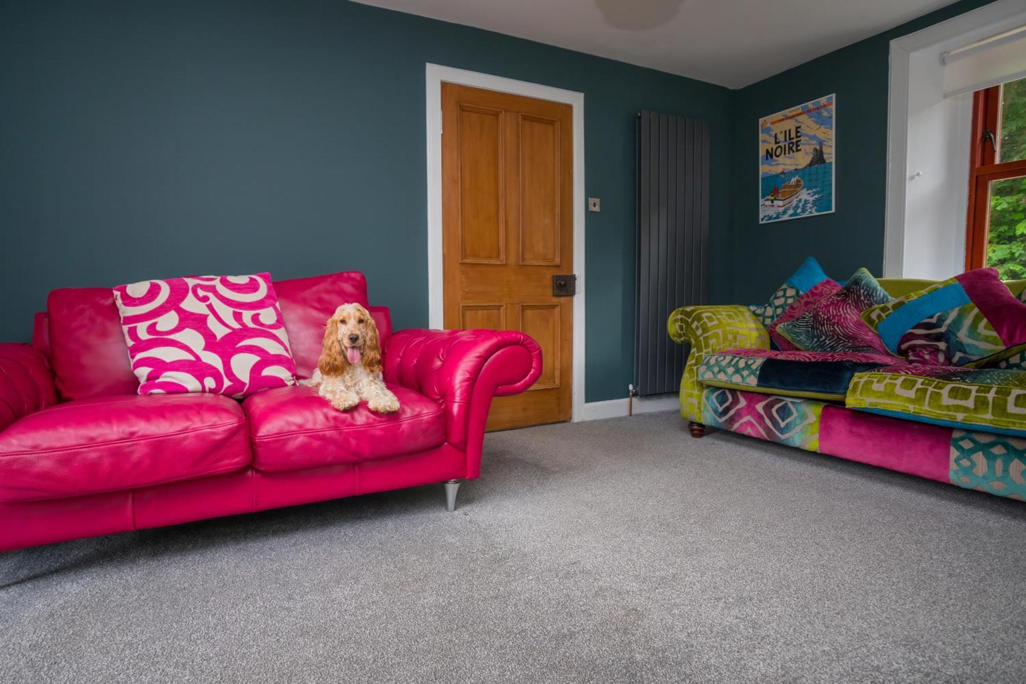 Tig Cottage - A Rural, Quirky, Pet Friendly 2 Bedroom Cottage Near Ballantrae Dış mekan fotoğraf