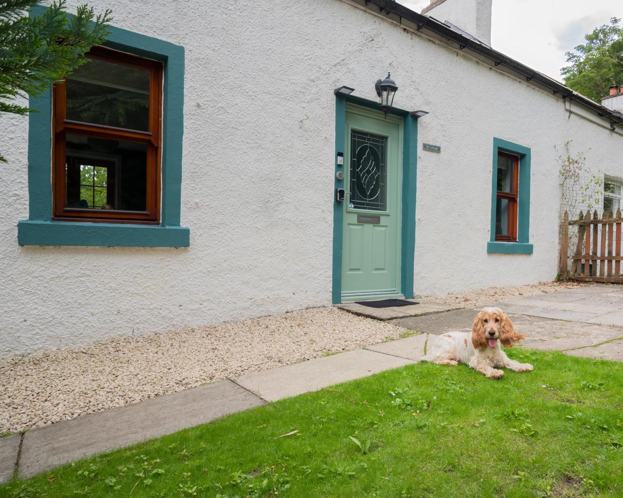 Tig Cottage - A Rural, Quirky, Pet Friendly 2 Bedroom Cottage Near Ballantrae Dış mekan fotoğraf